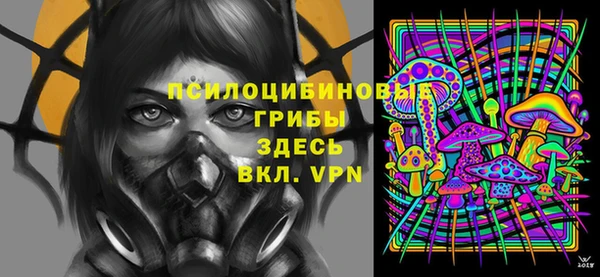 крисы Абаза