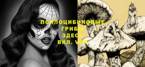 дживик Абинск