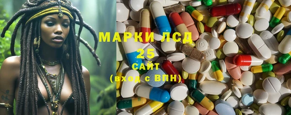 крисы Абаза