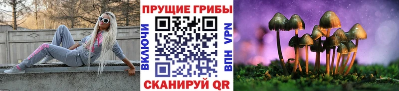 Псилоцибиновые грибы MAGIC MUSHROOMS  как найти   Тотьма 